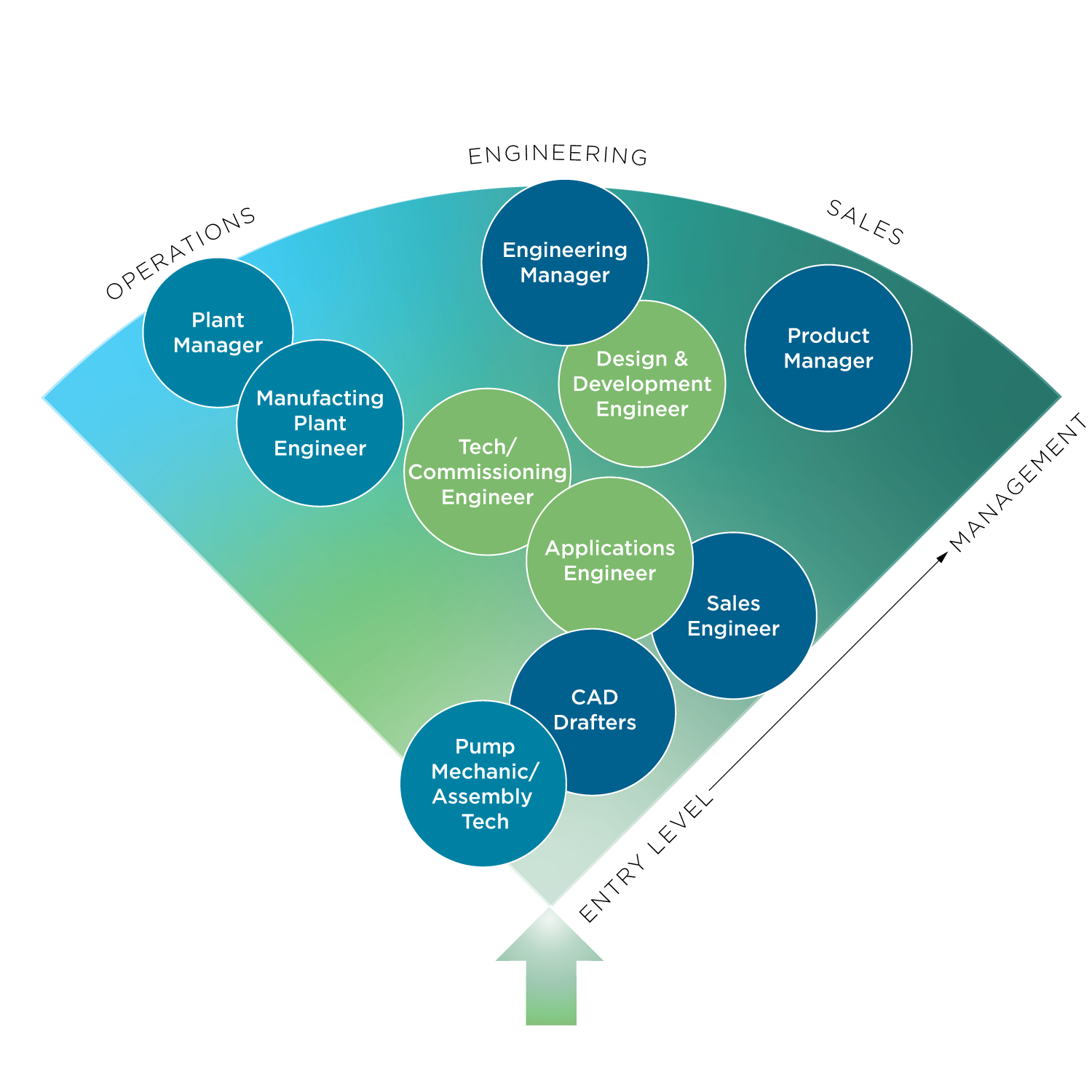 Developing the Professional